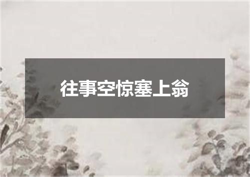 往事空惊塞上翁