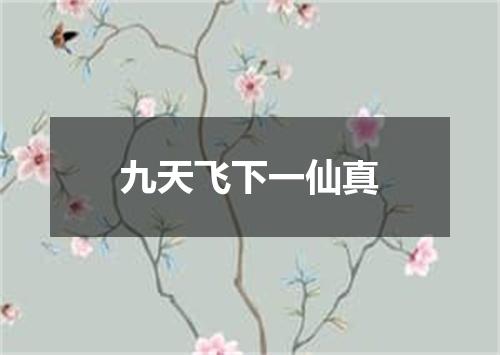 九天飞下一仙真