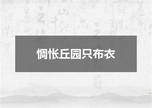 惆怅丘园只布衣