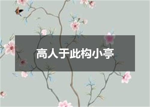 高人于此构小亭