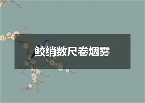 鲛绡数尺卷烟雾