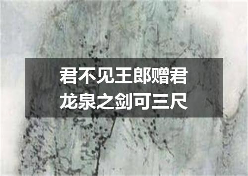 君不见王郎赠君龙泉之剑可三尺