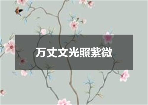 万丈文光照紫微