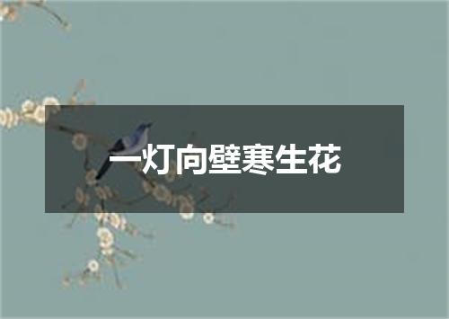 一灯向壁寒生花
