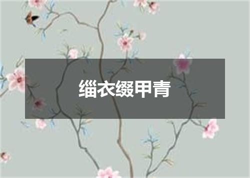 缁衣缀甲青
