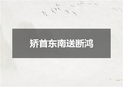 矫首东南送断鸿