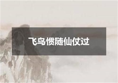 飞鸟惯随仙仗过