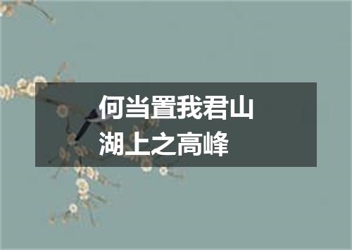何当置我君山湖上之高峰