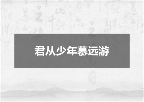 君从少年慕远游