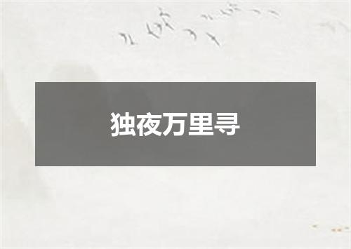 独夜万里寻
