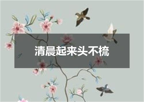 清晨起来头不梳