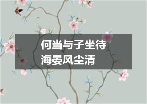 何当与子坐待海晏风尘清
