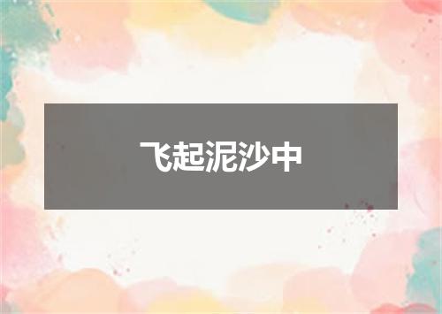 飞起泥沙中