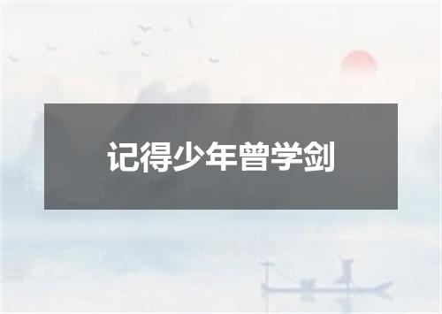 记得少年曾学剑