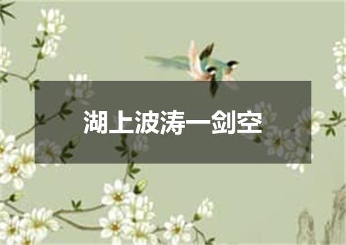 湖上波涛一剑空