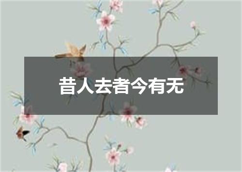 昔人去者今有无