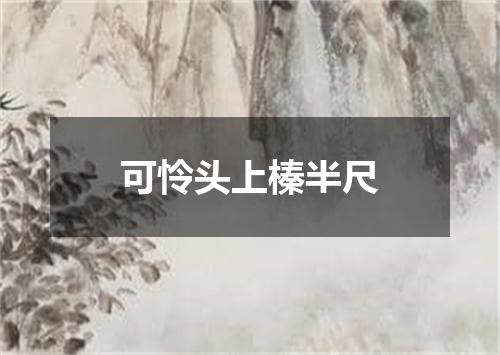 可怜头上榛半尺