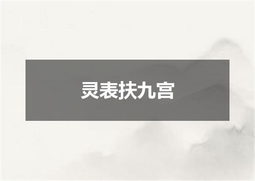 灵表扶九宫