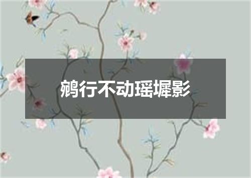 鹓行不动瑶墀影