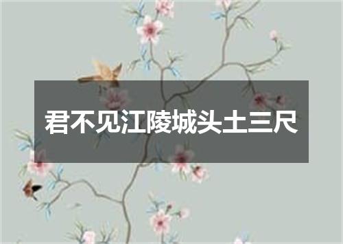 君不见江陵城头土三尺