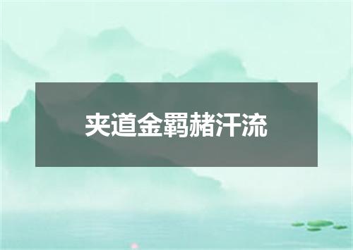 夹道金羁赭汗流