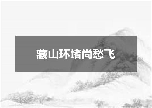 藏山环堵尚愁飞
