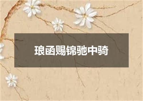 琅函赐锦驰中骑