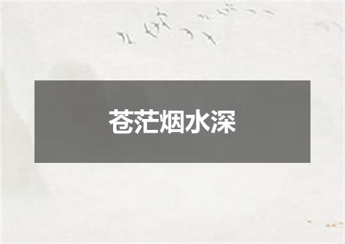 苍茫烟水深