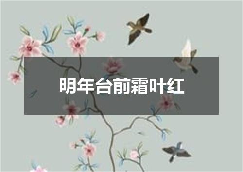 明年台前霜叶红