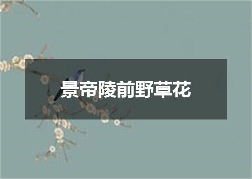 景帝陵前野草花