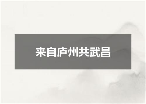 来自庐州共武昌