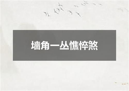 墙角一丛憔悴煞