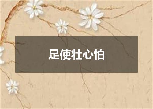 足使壮心怕