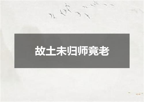 故土未归师竟老