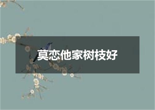 莫恋他家树枝好