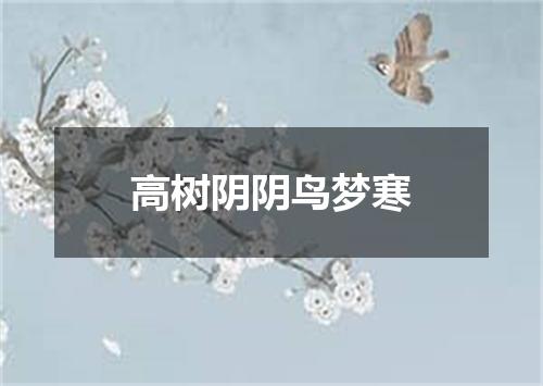 高树阴阴鸟梦寒