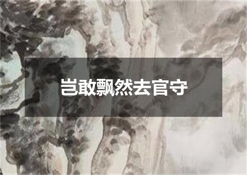 岂敢飘然去官守