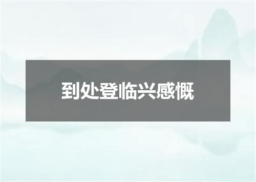 到处登临兴感慨