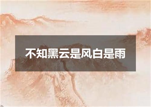 不知黑云是风白是雨