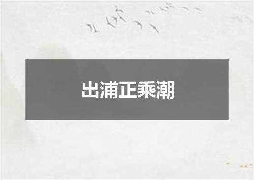 出浦正乘潮