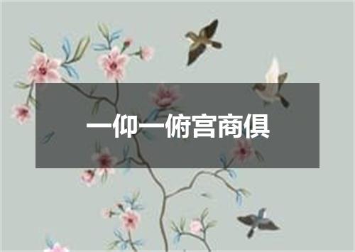 一仰一俯宫商俱