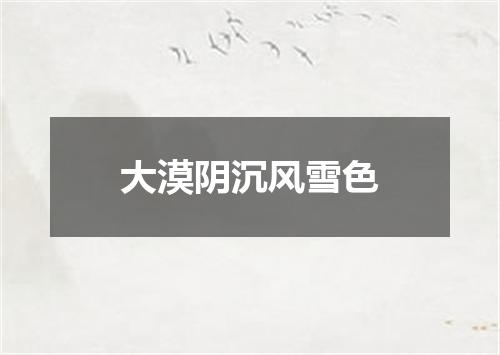 大漠阴沉风雪色