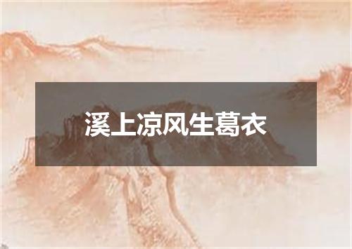 溪上凉风生葛衣