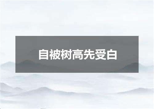 自被树高先受白
