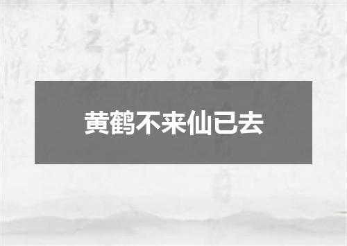 黄鹤不来仙已去