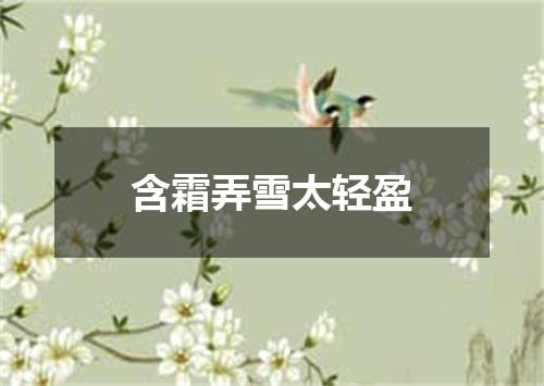 含霜弄雪太轻盈