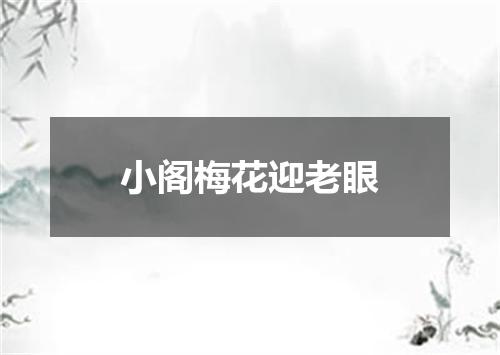 小阁梅花迎老眼