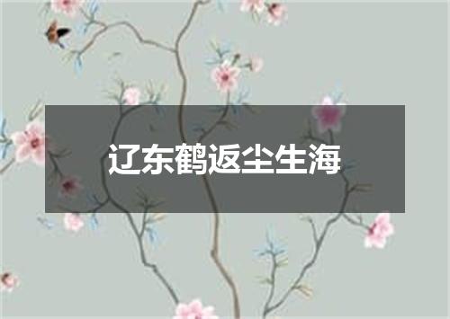辽东鹤返尘生海