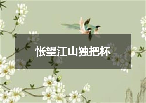 怅望江山独把杯