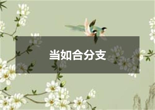 当如合分支